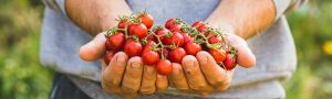 sustentabilidade restaurante