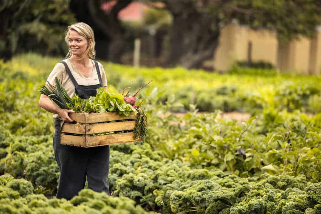 como identificar alimentos orgânicos