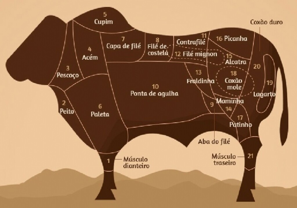 tipos de carne: partes do boi