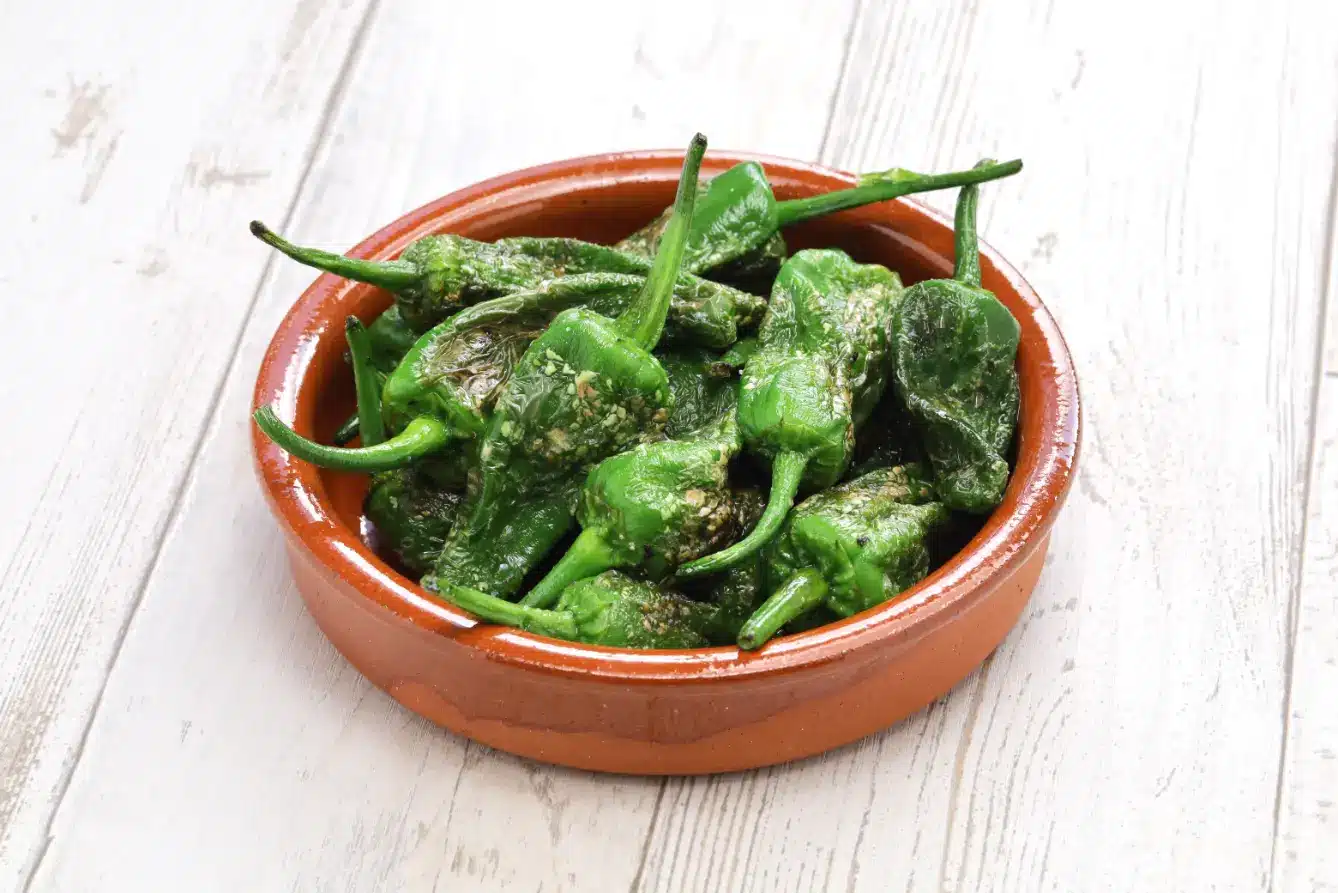 Pimientos de Padrón, pimentões fritos, prato típico da culinária espanhola