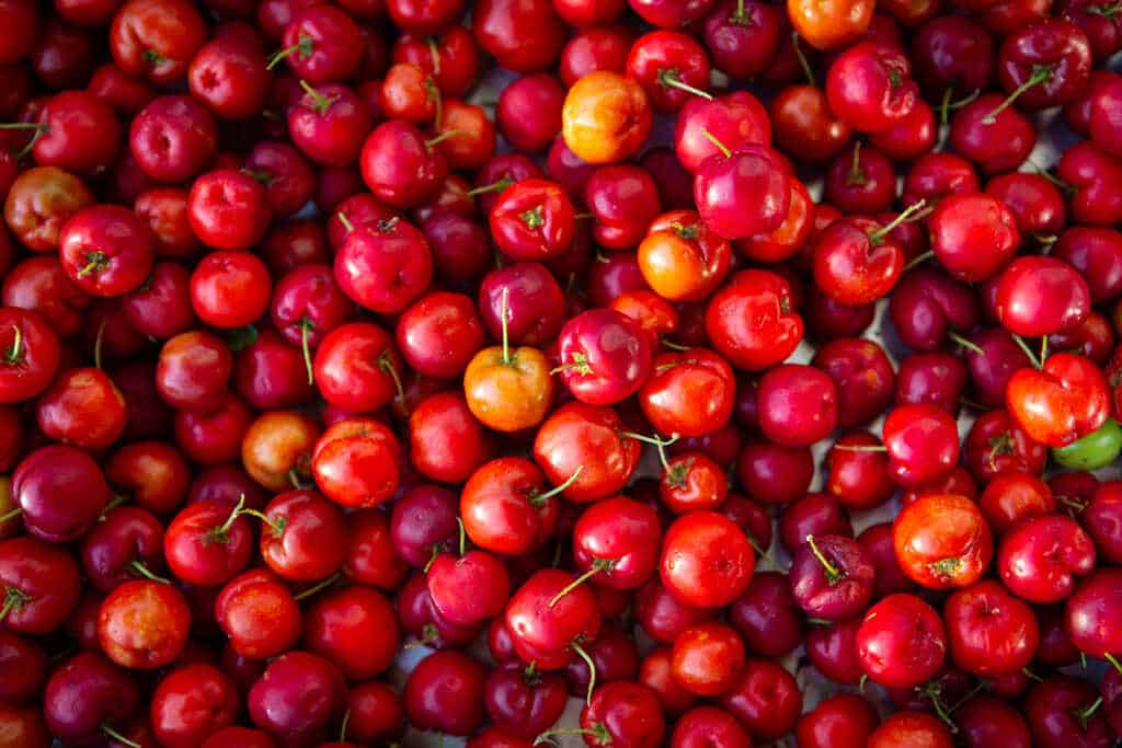 frutas brasileiras: acerola