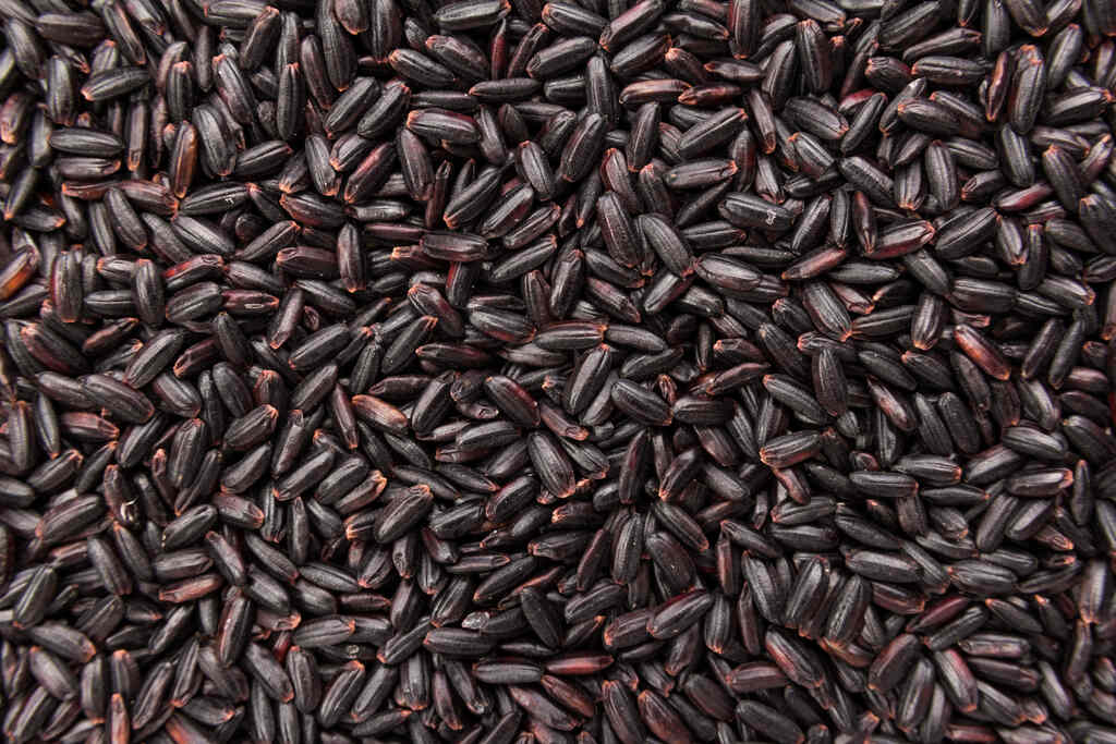 arroz negro