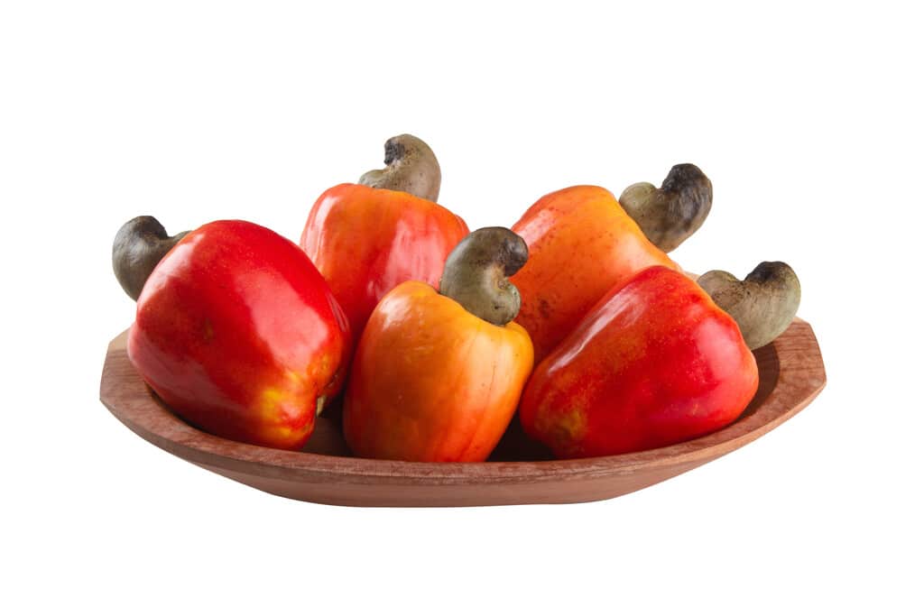 frutas brasileiras: caju