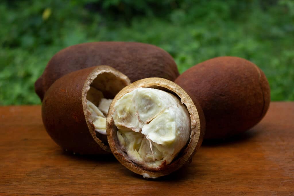 frutas brasileiras: cupuaçu