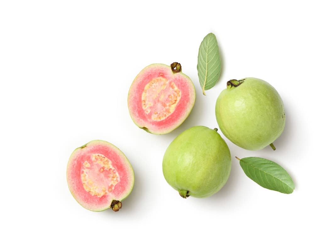 frutas brasileiras: goiaba