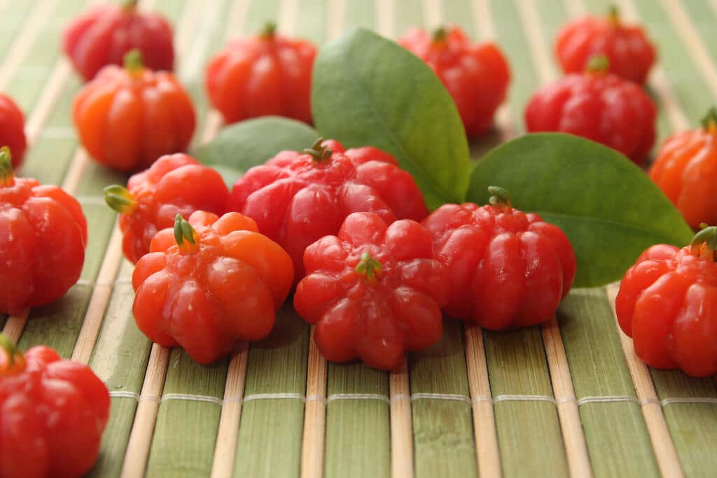 frutas brasileiras: pitanga