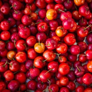 frutas brasileiras: acerola