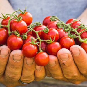 sustentabilidade restaurante