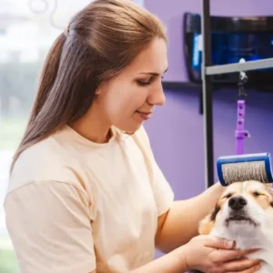 franquia-pet-shop